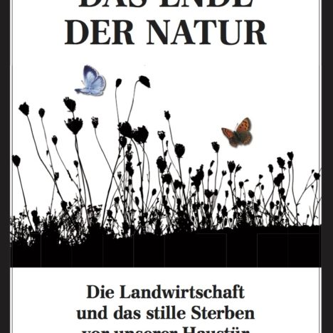 „Mörderfliege“ im Garten