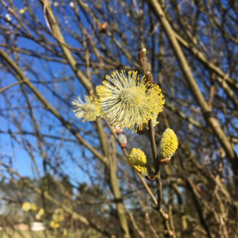 Aus bunt wird blau