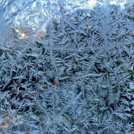 Nichts tut sich – 4. Tag der Küchen-Pilz-Zucht