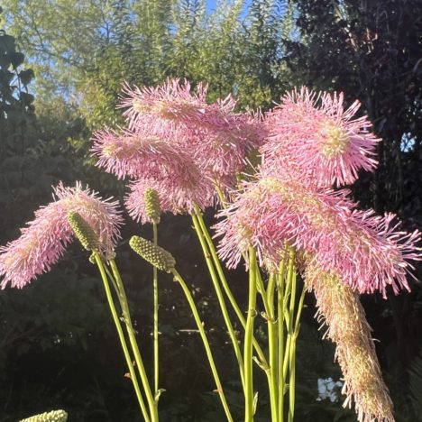 Spätsommer