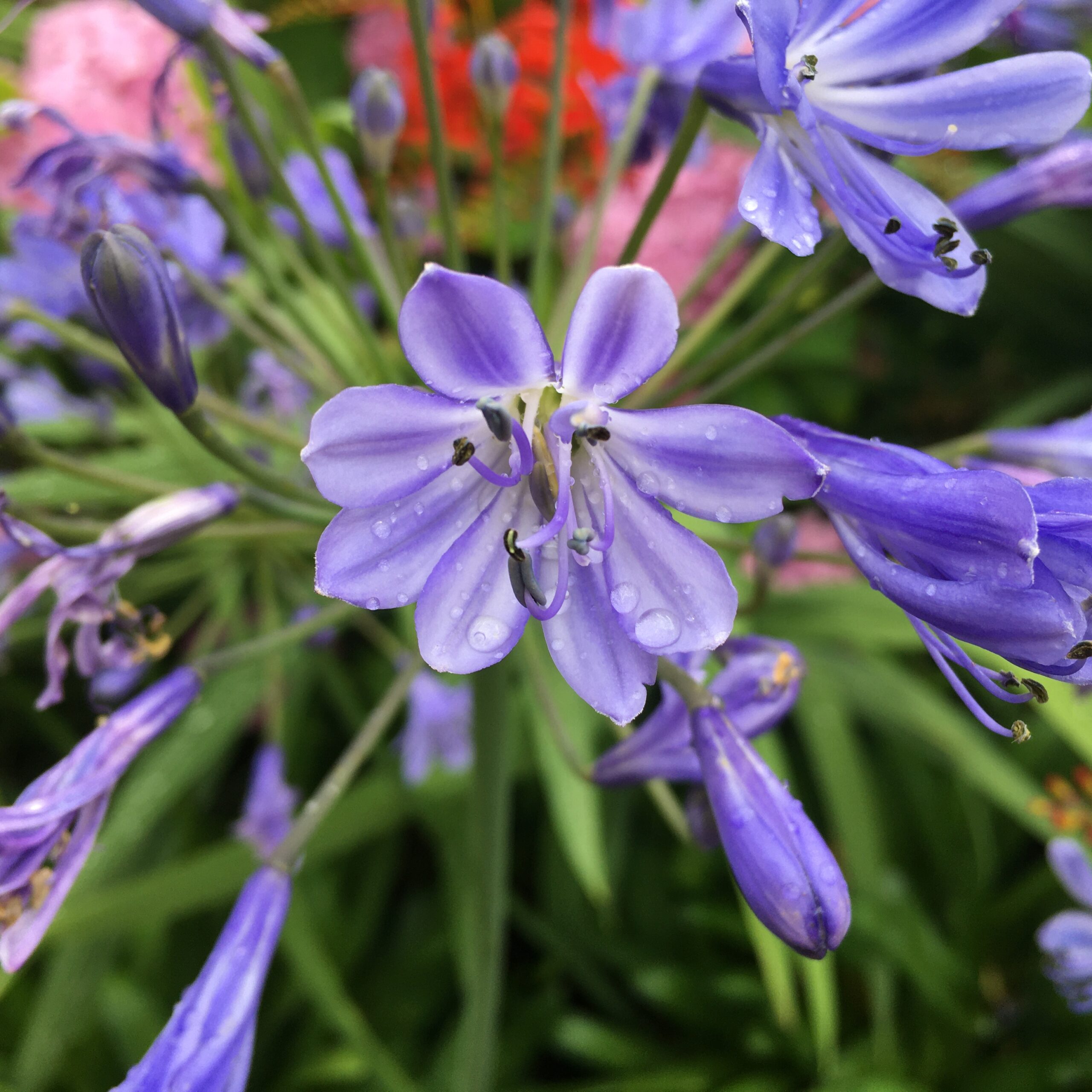 Ich mache mir Sorgen – Meine kleine Wiese