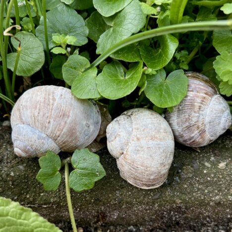 Buntes Durcheinander