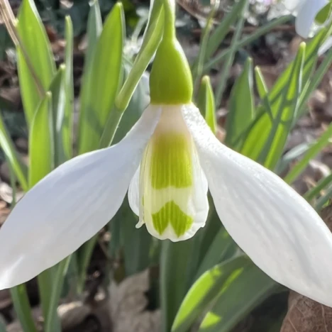 Ran an den Honigtopf