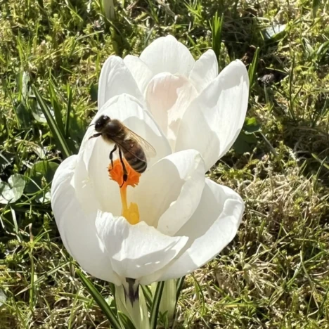 Und es ist Frühling
