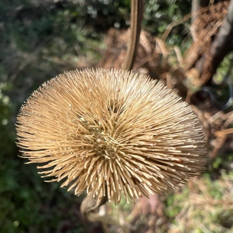 Und es ist Frühling