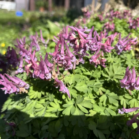 Mein kleiner Überlebenskünstler