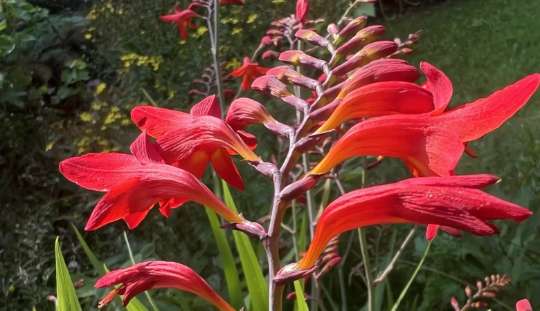 IMG_9504